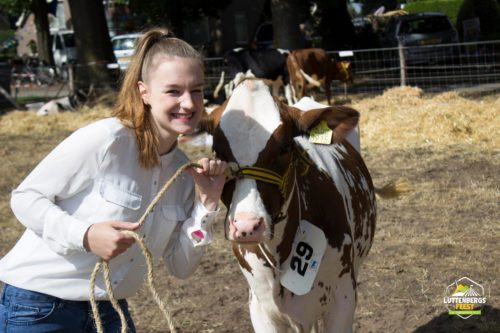 Luttenbergsfeest Zaterdag 2018